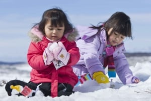 From Melbourne: Lake Mountain Snow Experience