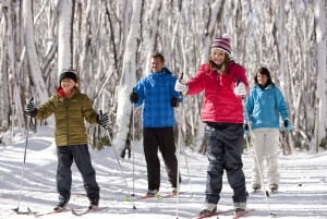 From Melbourne: Lake Mountain Snow Experience