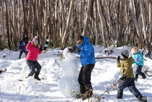 From Melbourne: Lake Mountain Snow Experience