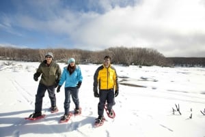 From Melbourne: Lake Mountain Snow Experience