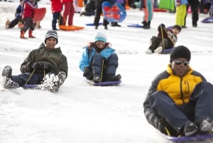 From Melbourne: Lake Mountain Snow Experience