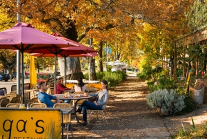 Desde Melbourne: Experiencia en la nieve de Lake Mountain