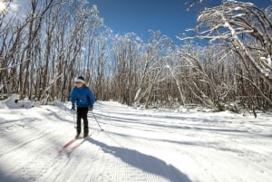 Desde Melbourne: Experiencia en la nieve de Lake Mountain