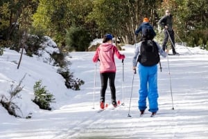 Melbourne: Private Lake Mountain Snow & Redwood Forest Tours