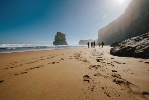 From Melbourne: LGBTQ+ Great Ocean Road Private Day Tour
