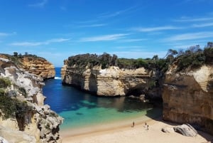 Luxe Bus Great Ocean Road Coastal Spectacular