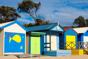 From Melbourne: Mornington Peninsula Private Winery Tour