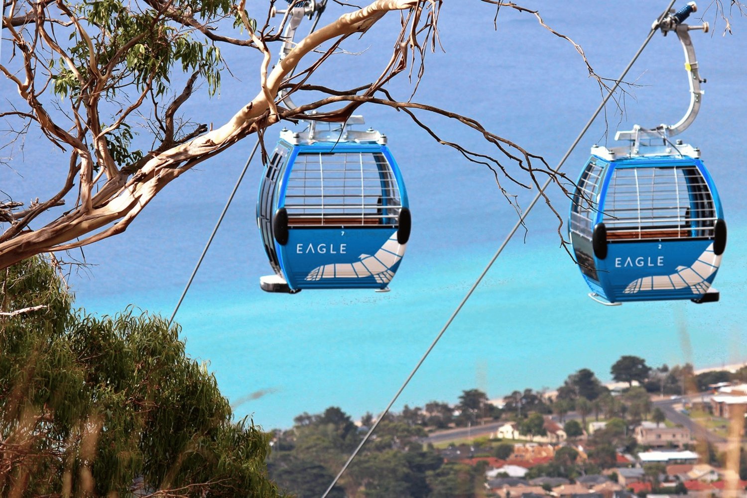 De Melbourne: Excursão à Península Mornington e Puffing Billy