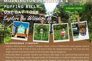 メルボルンからモーニントン半島ツアーとパッフィング・ビリー