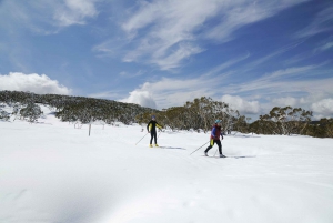 From Melbourne: Mount Buller Day Tour with Resort Entry