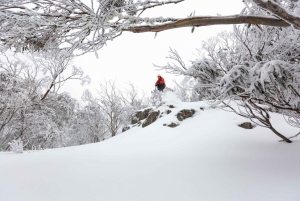 From Melbourne: Mount Buller Day Tour with Resort Entry