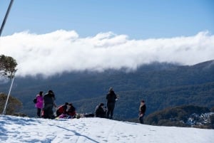 From Melbourne: Mount Buller Day Tour with Resort Entry