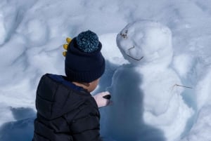 From Melbourne: Mount Buller Day Tour with Resort Entry