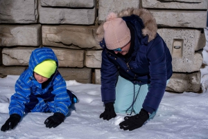 Da Melbourne: Tour di un giorno del Monte Buller con ingresso al resort