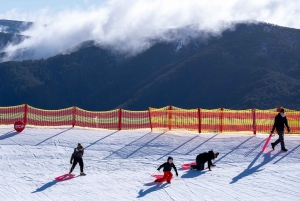 Da Melbourne: Tour di un giorno del Monte Buller con ingresso al resort