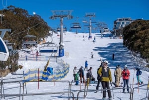 Da Melbourne: Tour di un giorno del Monte Buller con ingresso al resort