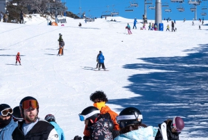 Da Melbourne: Tour di un giorno del Monte Buller con ingresso al resort