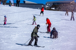 Da Melbourne: Tour di un giorno del Monte Buller con ingresso al resort
