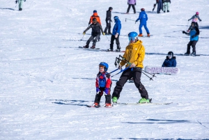 Da Melbourne: Tour di un giorno del Monte Buller con ingresso al resort
