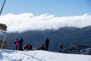 Da Melbourne: Tour di un giorno del Monte Buller con ingresso al resort