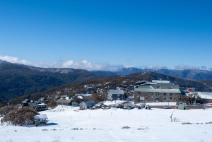 Da Melbourne: Tour di un giorno del Monte Buller con ingresso al resort