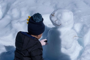 Da Melbourne: Tour di un giorno del Monte Buller con ingresso al resort