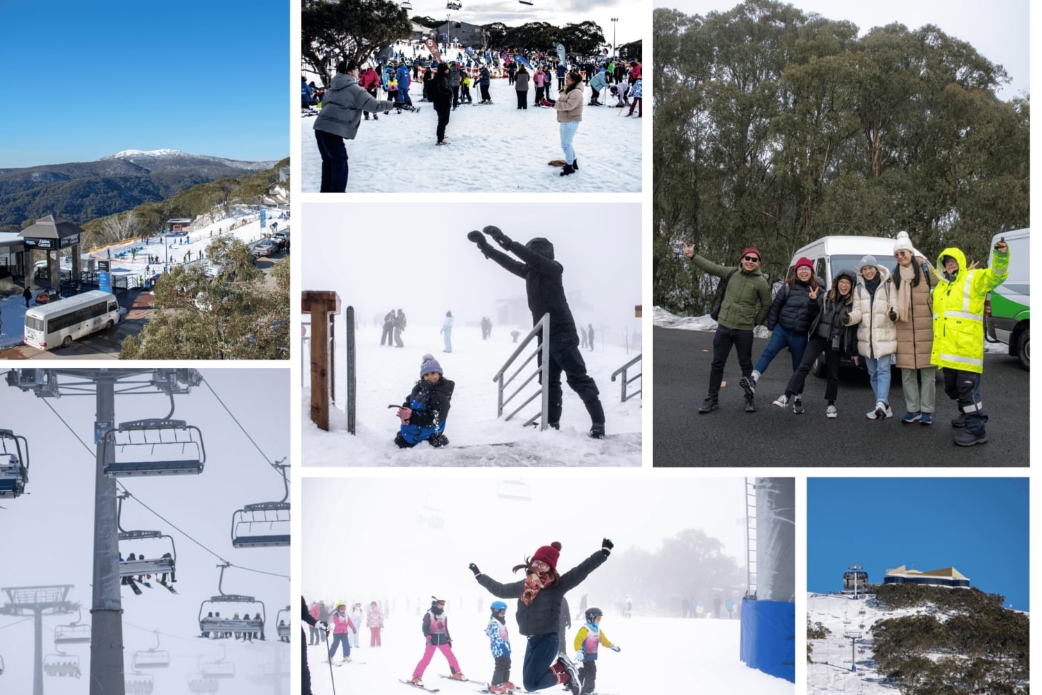 Från Melbourne: Guidad dagstur till Mount Buller