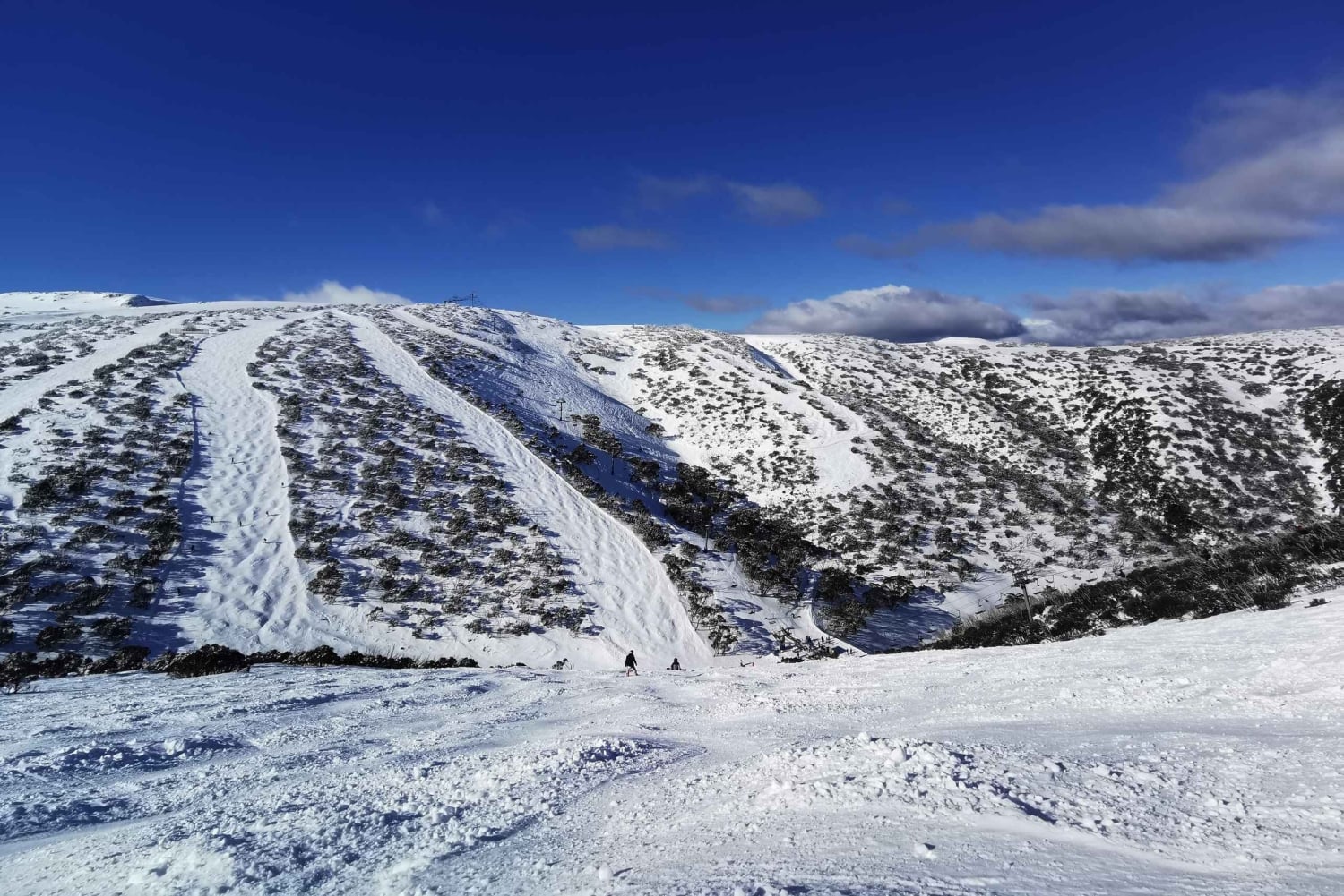 Från Melbourne: Guidad dagstur till Mount Buller