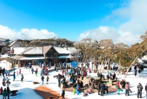 Från Melbourne: Guidad dagstur till Mount Buller