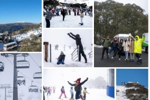 Från Melbourne: Guidad dagstur till Mount Buller