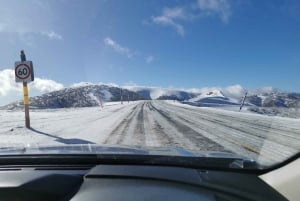Från Melbourne: Guidad dagstur till Mount Buller