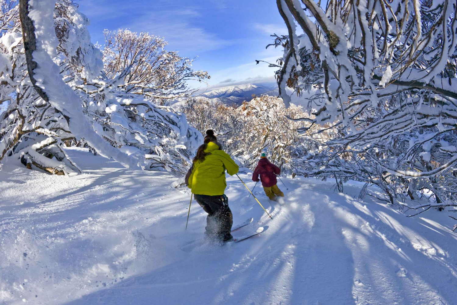 From Melbourne: Mt Buller Day Tour