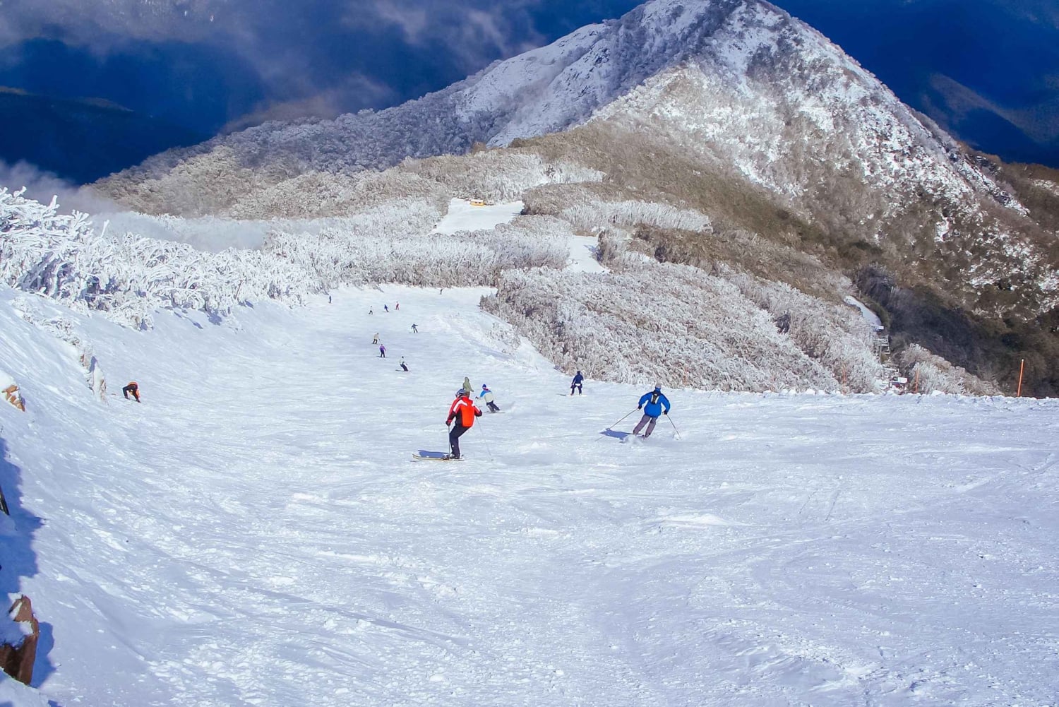 Da Melbourne: tour giornaliero panoramico sulla neve al Mt Buller
