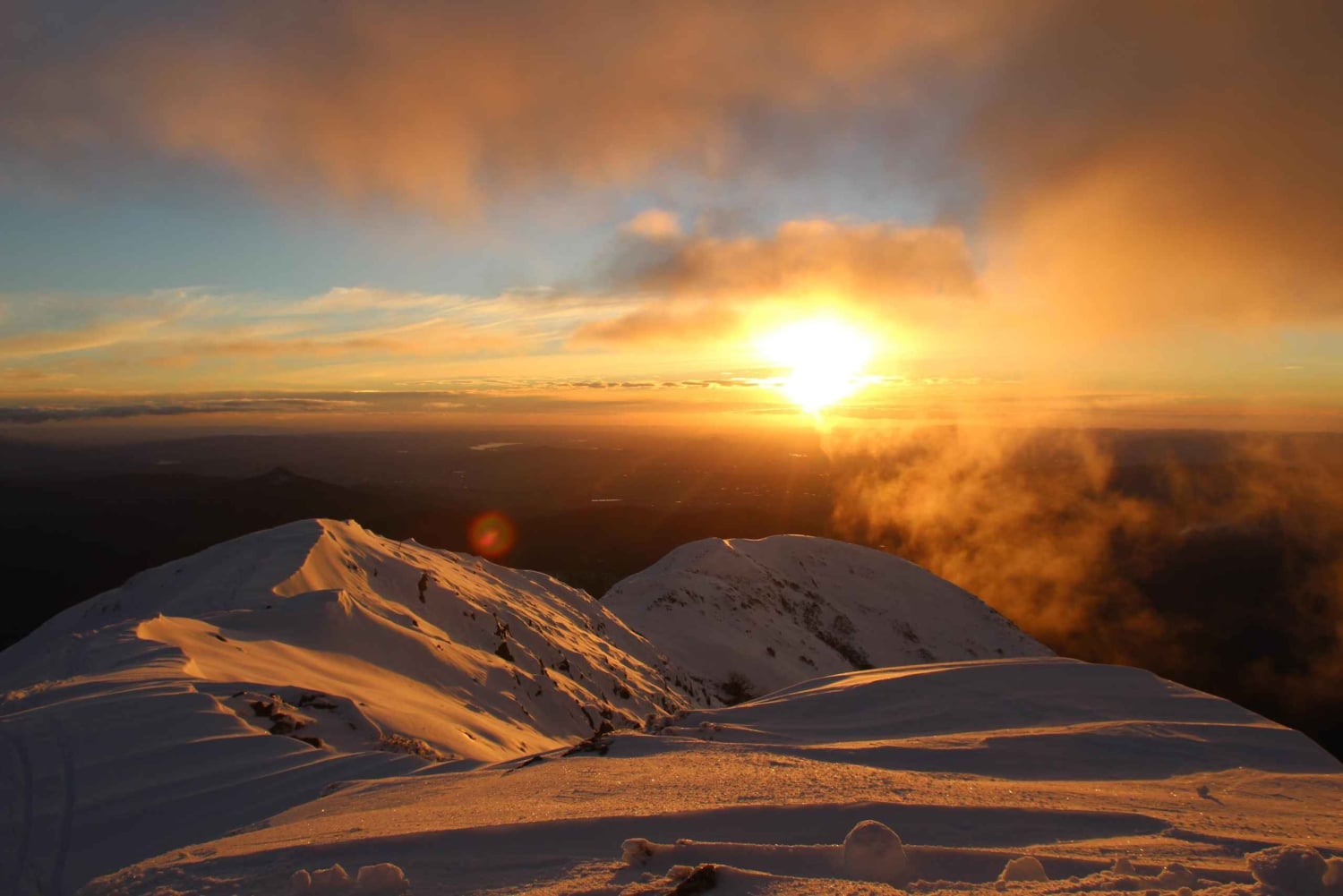 Da Melbourne: tour giornaliero panoramico sulla neve al Mt Buller