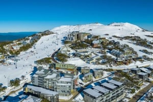Da Melbourne: tour giornaliero panoramico sulla neve al Mt Buller