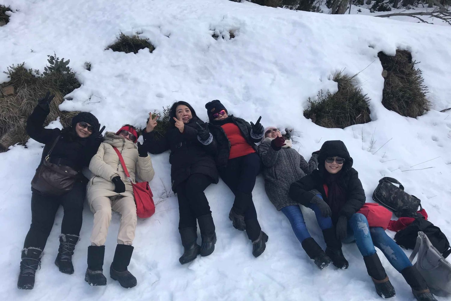 Da Melbourne: tour della boutique per piccoli gruppi del Mt Buller Snow Day