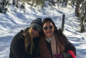 Из Мельбурна: бутик-тур для небольших групп Mt Buller Snow Day