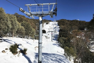 Da Melbourne: tour della boutique per piccoli gruppi del Mt Buller Snow Day