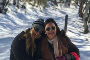 Da Melbourne: tour della boutique per piccoli gruppi del Mt Buller Snow Day