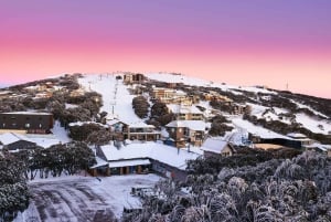 From Melbourne: Mt Buller Snow Season Day Trip