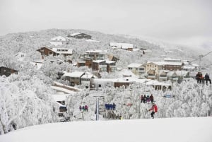 From Melbourne: Mt Buller Snow Season Day Trip