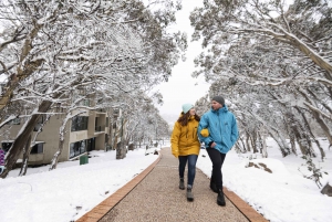 From Melbourne: Day Trip to Mount Buller Resort by Bus