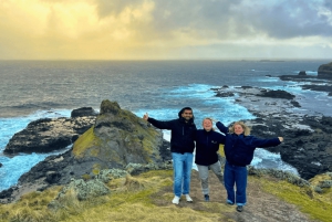De Melbourne: Passeio à tarde pela Penguin Parade