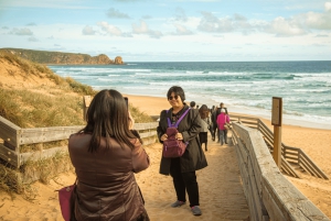 De Melbourne: Passeio à tarde pela Penguin Parade