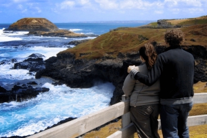 De Melbourne: Passeio à tarde pela Penguin Parade