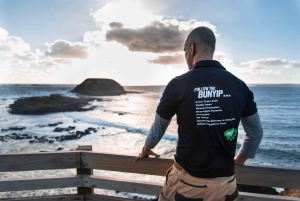 De Melbourne: Passeio à tarde pela Penguin Parade