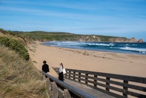 From Melbourne: Phillip Island and Penguin Parade Day Tour