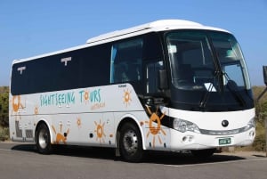 From Melbourne: Phillip Island and Penguin Parade Day Tour