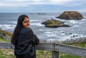 From Melbourne: Phillip Island and Penguin Parade Day Tour