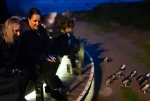 Z Melbourne: Phillip Island Penguin & Nature Day Tour